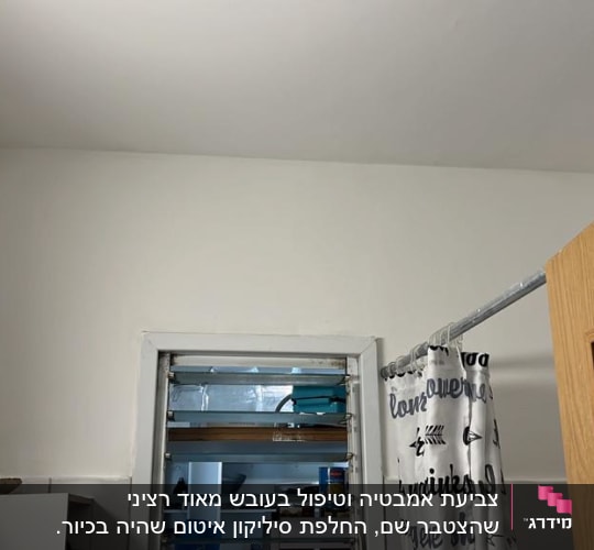 צביעת אמבטיה וטיפול בעובש מאוד רציני שהצטבר שם, החלפת סיליקון איטום שהיה בכיור.